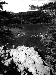 From one of the secondary viewing areas